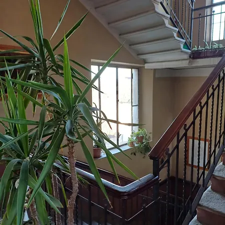 Apartment Casa Clara *